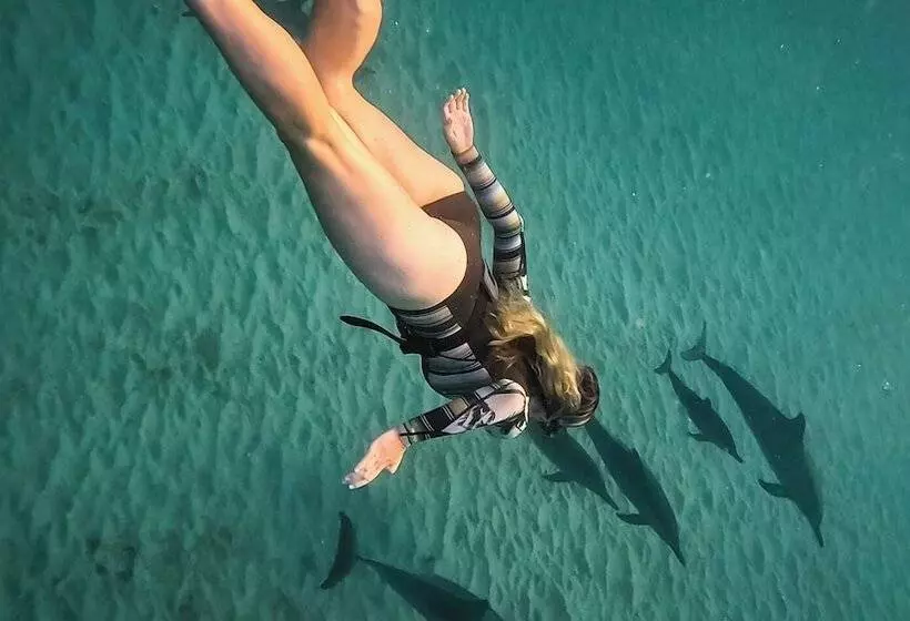 هتل La Mariposa