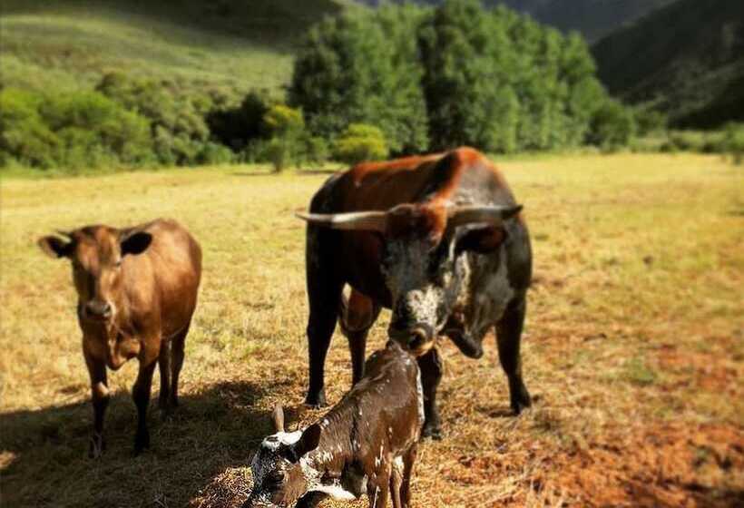 فندق Pat Busch Mountain Reserve