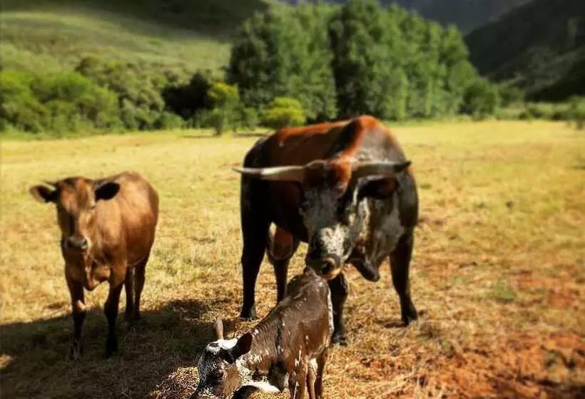 Hotelli Pat Busch Mountain Reserve