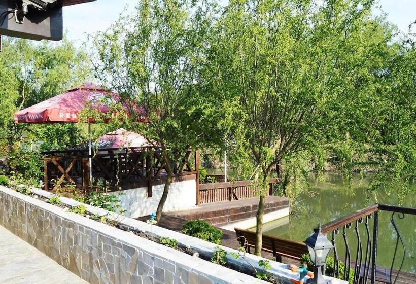 Отель Pensiunea Delta Dreams