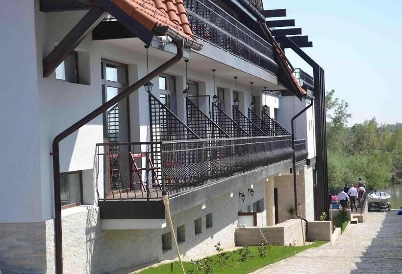 Отель Pensiunea Delta Dreams