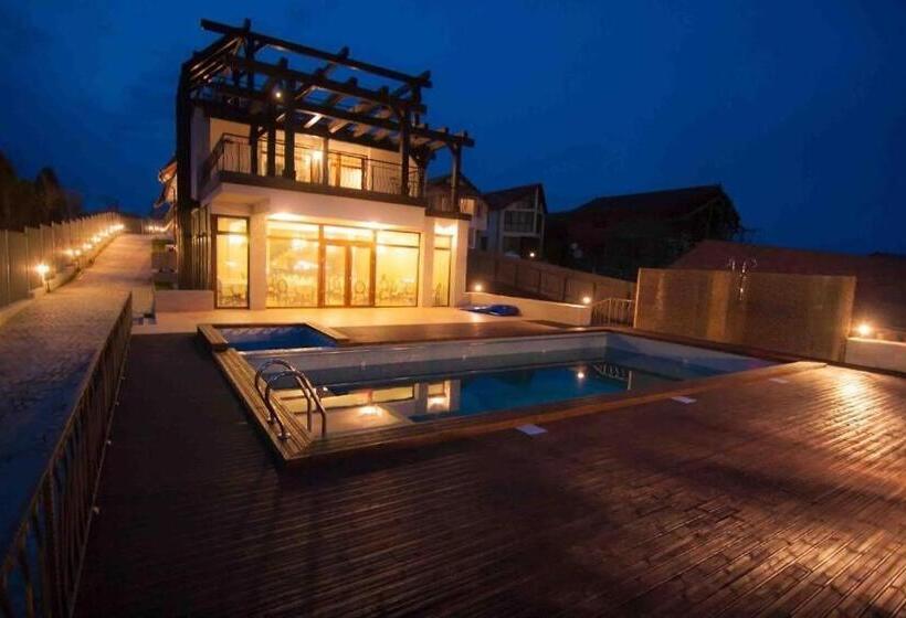 Отель Pensiunea Delta Dreams