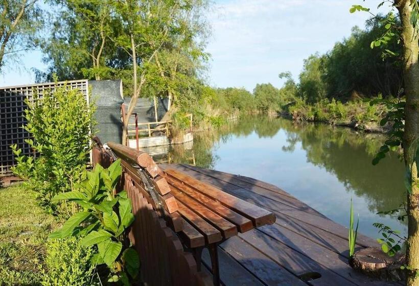 Отель Pensiunea Delta Dreams