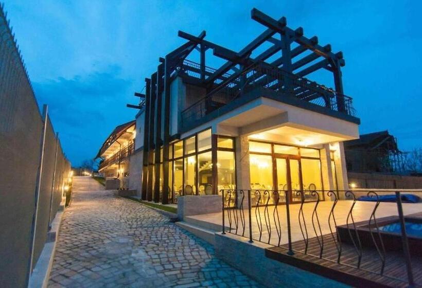 Отель Pensiunea Delta Dreams