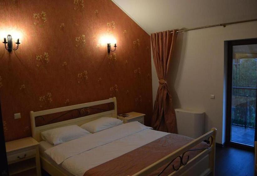 Отель Pensiunea Delta Dreams