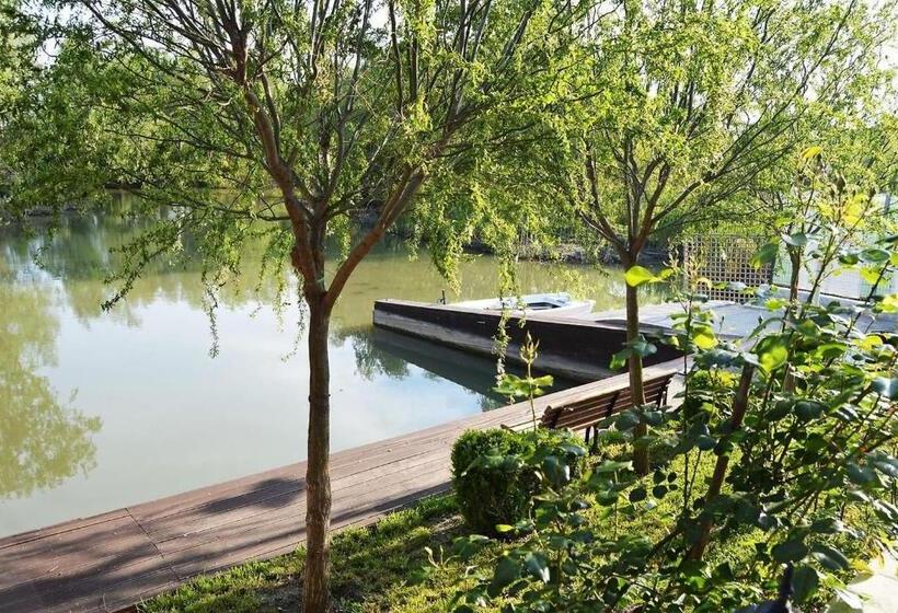 Отель Pensiunea Delta Dreams