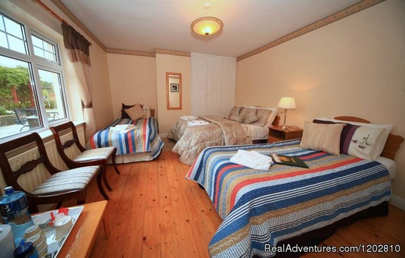 ベッドアンドブレックファースト Ard Alainn