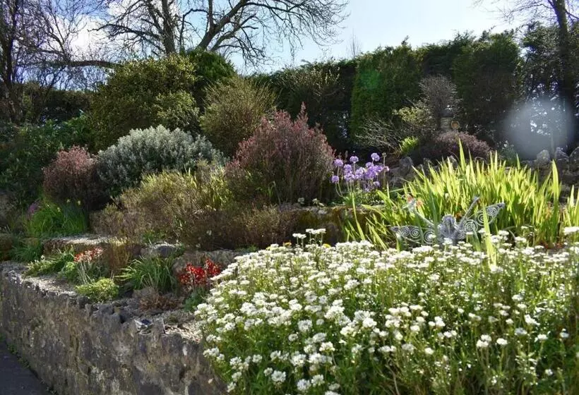 Aamiaismajoitus (B&B) Fitzgerald S Farmhouse Accommodation V94 Yy47