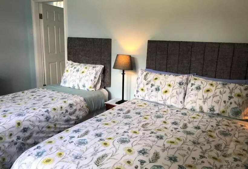 Aamiaismajoitus (B&B) Fitzgerald S Farmhouse Accommodation V94 Yy47