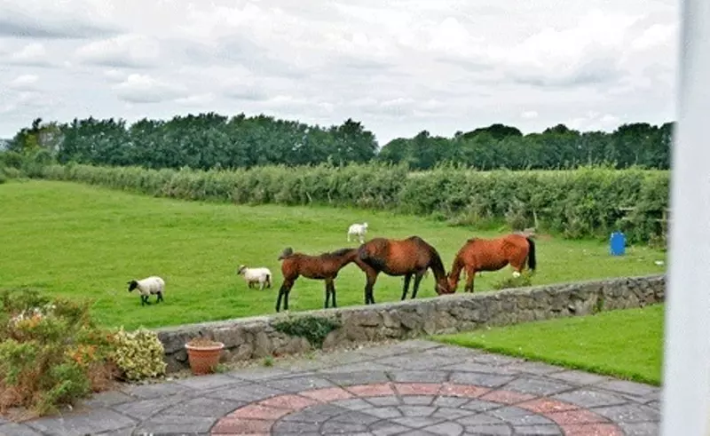 Beechgrove Farmhouse Bed And Breakfast
