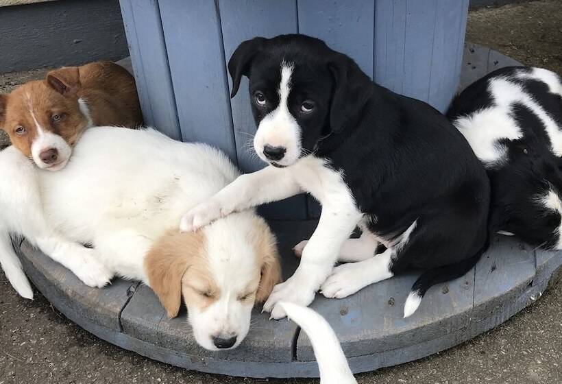 Hillview Farmhouse B&b