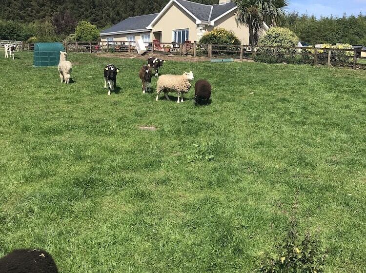 Hillview Farmhouse B&b