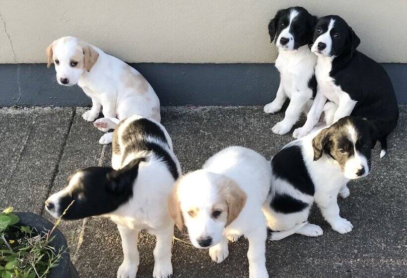 Hillview Farmhouse B&b