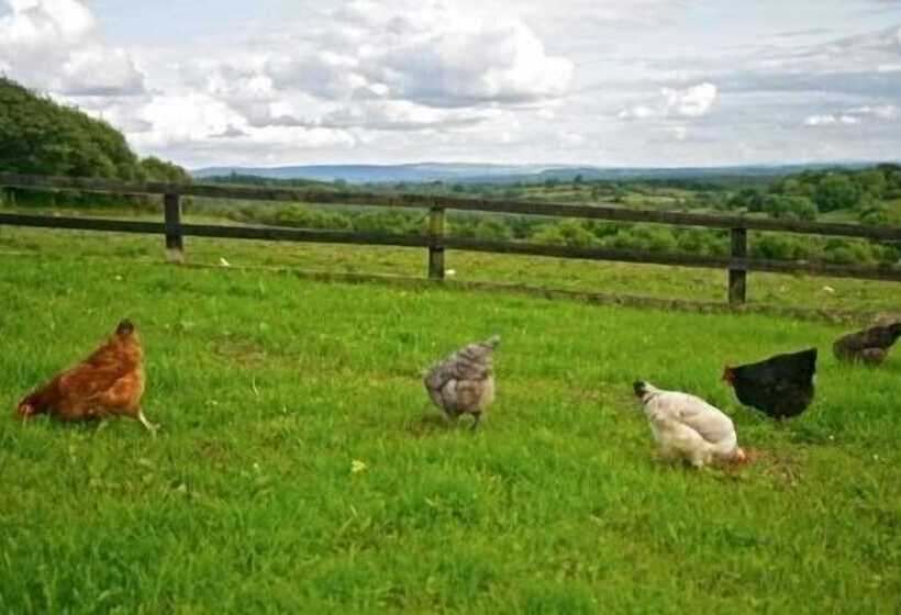 Hillview Farmhouse B&b