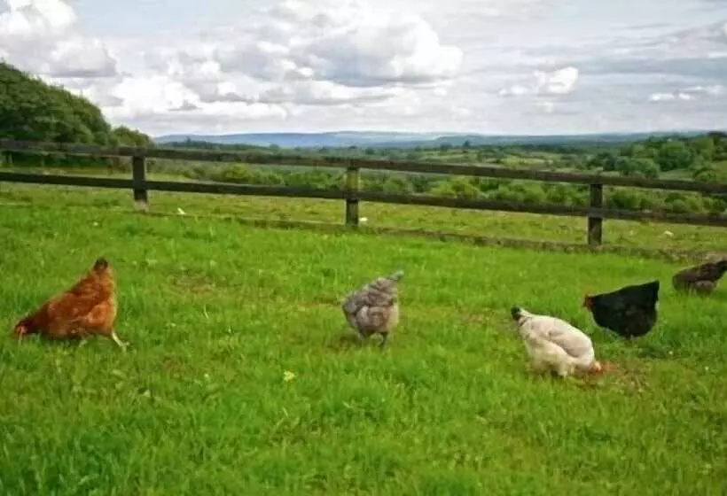 Hillview Farmhouse B&b