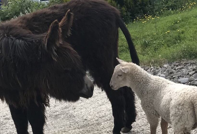 Hillview Farmhouse B&b