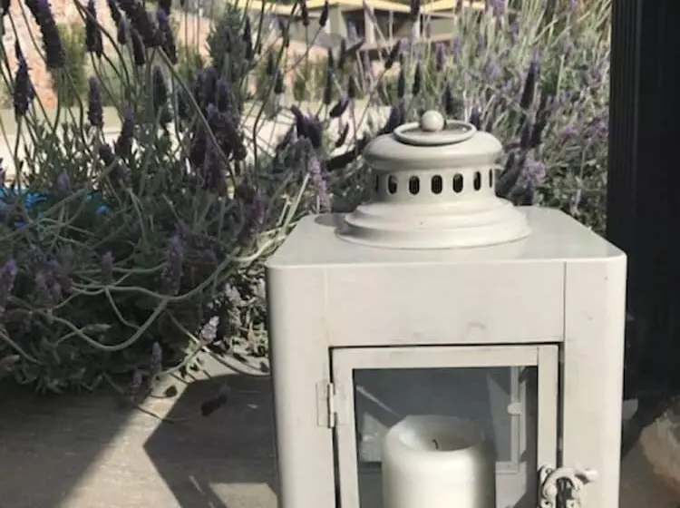 Hotelli Elimnion Resort