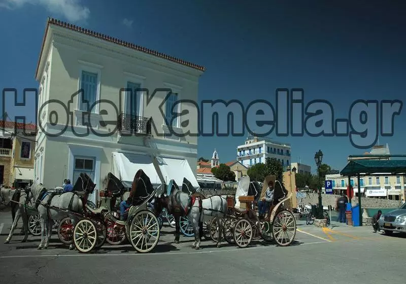 هتل Kamelia