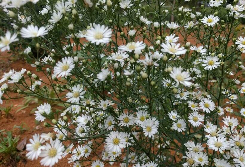 호텔 Pantharee Resort