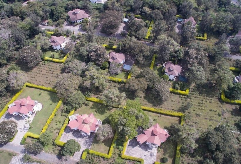 Отель Ngurdoto Mountain Lodge