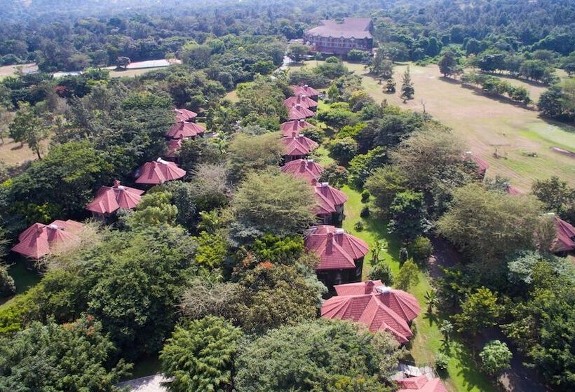 Отель Ngurdoto Mountain Lodge