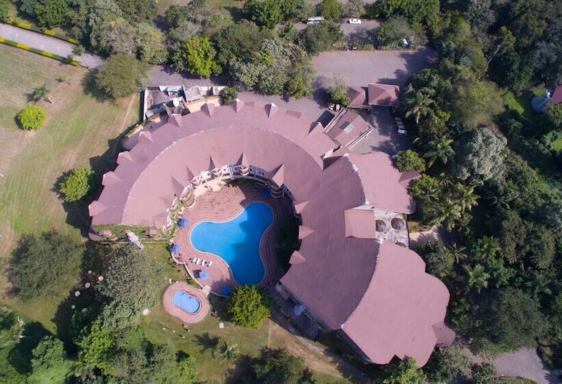 Отель Ngurdoto Mountain Lodge