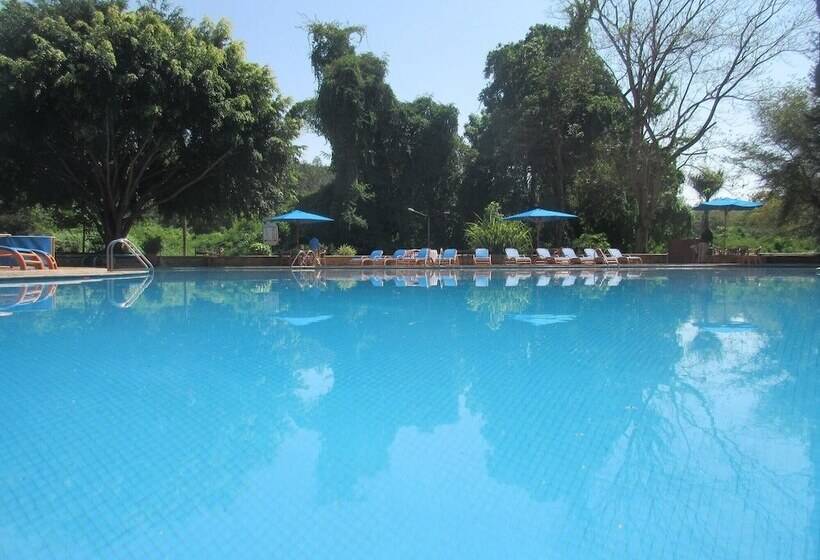 Отель Ngurdoto Mountain Lodge