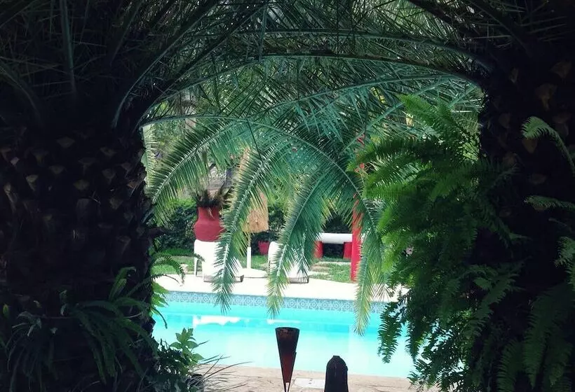 هتل Pousada Pedras Brancas