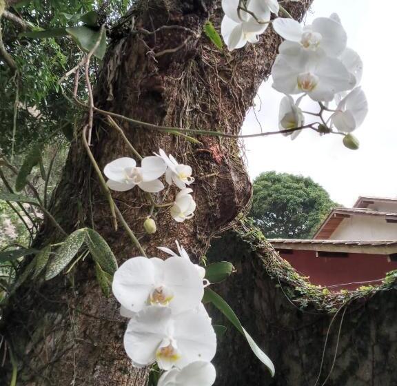 호텔 Pousada Pedras Brancas