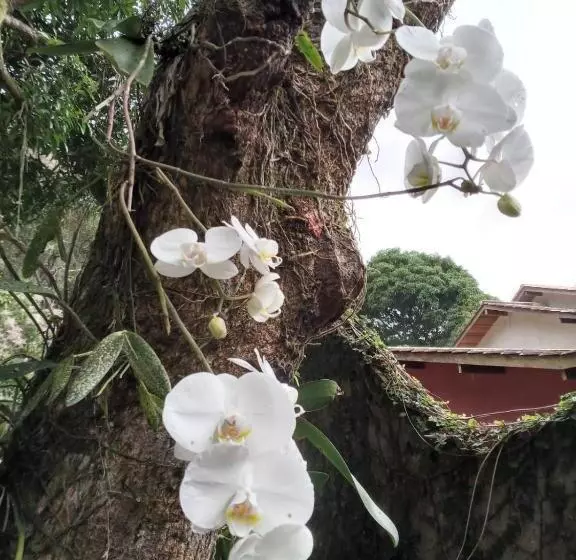 هتل Pousada Pedras Brancas