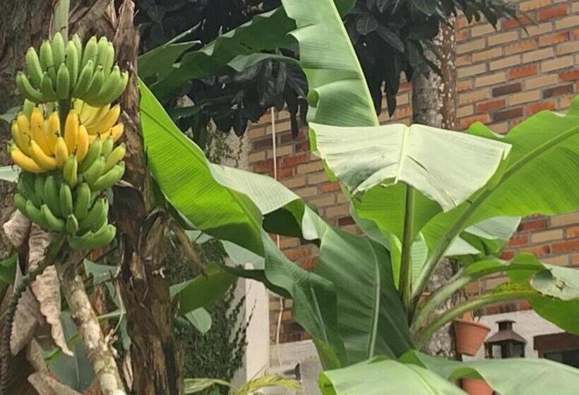 호텔 Pousada Pedras Brancas