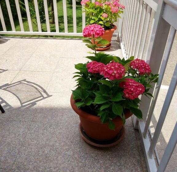 هتل Guest House Regina Mundi