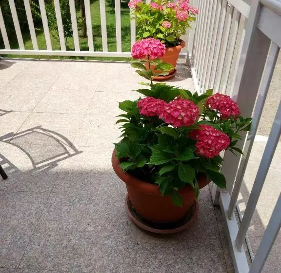 هتل Guest House Regina Mundi