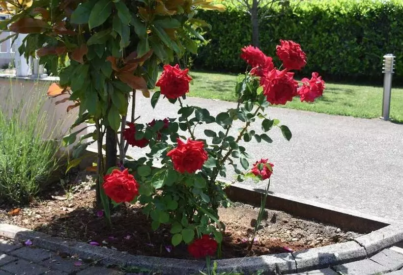 هتل Guest House Regina Mundi