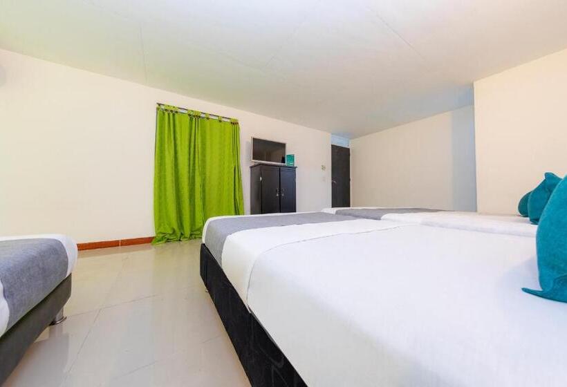 בית מלון כפרי Ayenda Florida Nueva