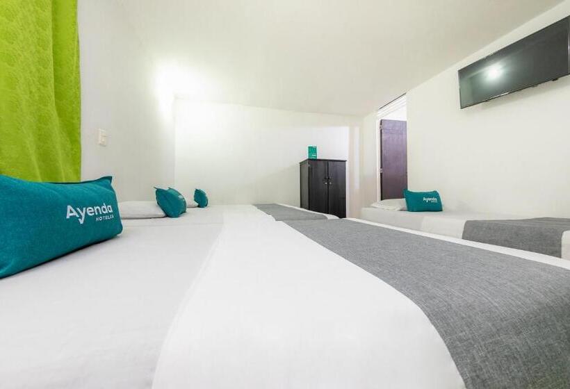 בית מלון כפרי Ayenda Florida Nueva