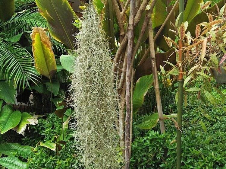 בית מלון כפרי Khaolak Tusneem Resort