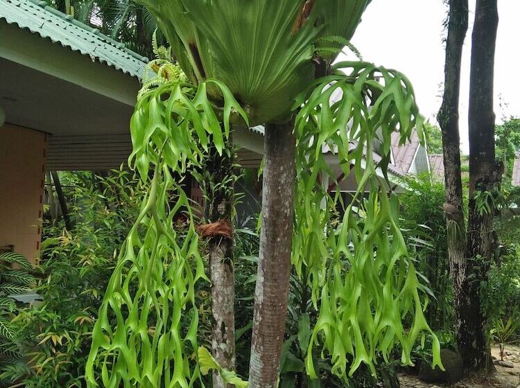 בית מלון כפרי Khaolak Tusneem Resort