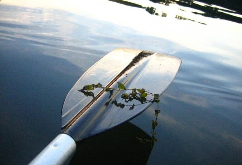 ホテル Meadow Gardens Bed And Breakfast