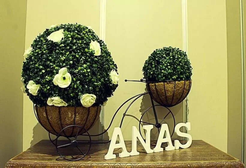 Hostal Anas
