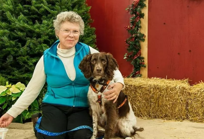 Hotelli Copper Kettle B&b