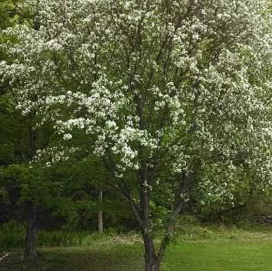 Hotelli Copper Kettle B&b