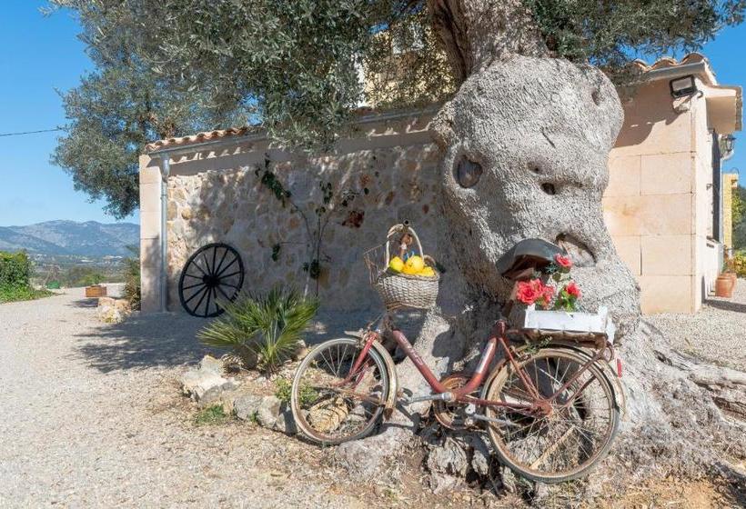 בית מלון כפרי Finca Son Jover