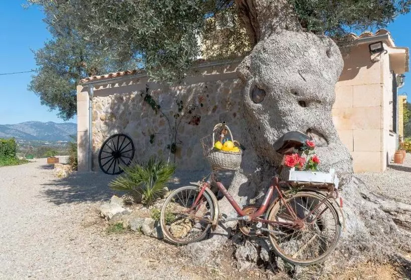 Hotel Finca Son Jover
