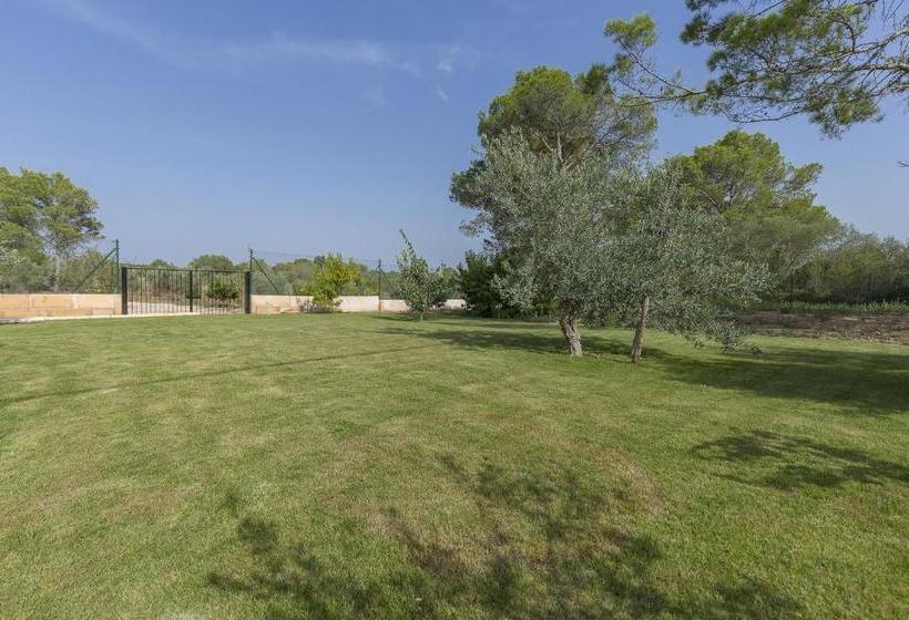 هتل Finca Son Ullastre