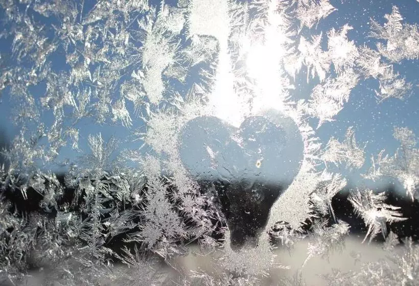 هتل Guesthouse Arctic Heart