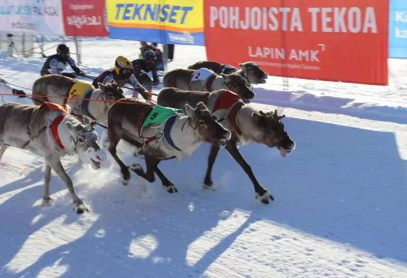 هتل Guesthouse Arctic Heart