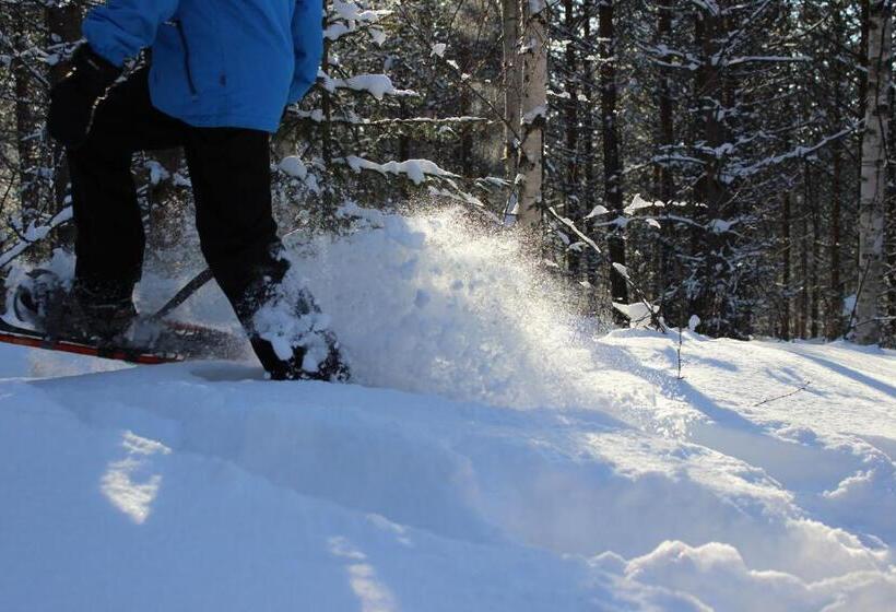 ホテル Guesthouse Arctic Heart