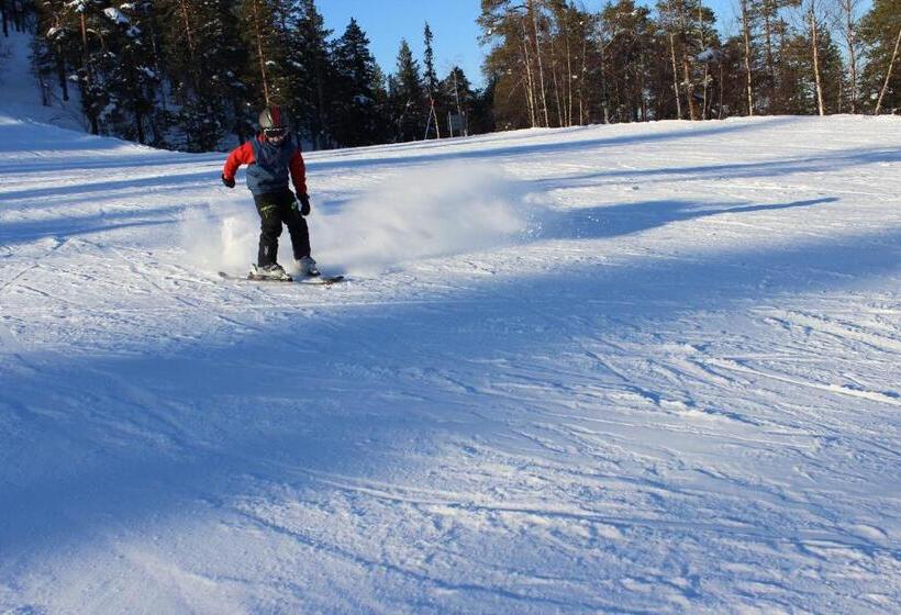 ホテル Guesthouse Arctic Heart