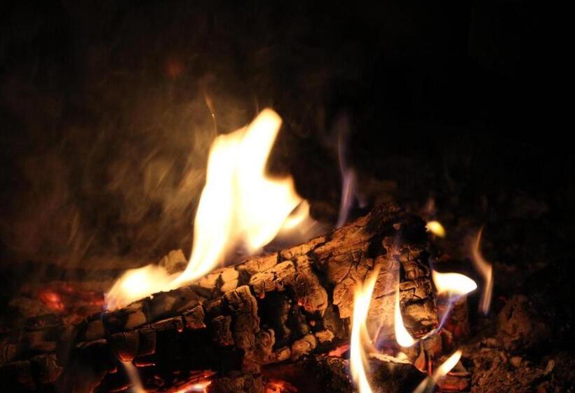 ホテル Guesthouse Arctic Heart